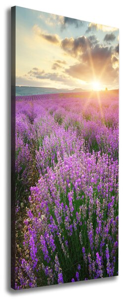 Vertikální Foto obraz canvas Pole levandule ocv-88269062