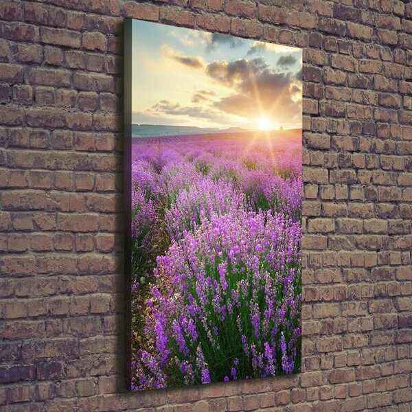 Vertikální Foto obraz canvas Pole levandule ocv-88269062