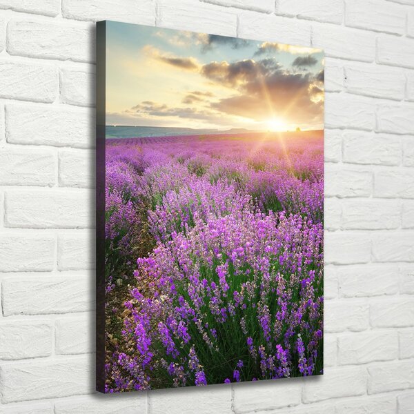 Vertikální Foto obraz canvas Pole levandule ocv-88269062