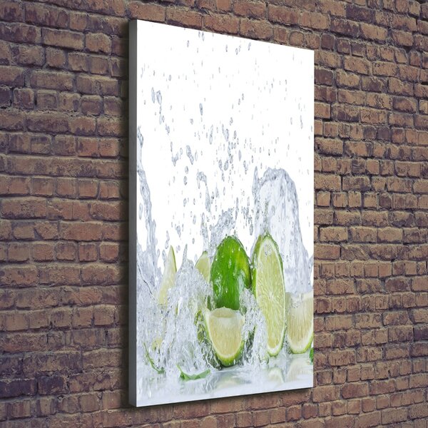 Vertikální Moderní obraz canvas na rámu Limetky ocv-88385364