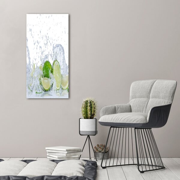 Vertikální Moderní obraz canvas na rámu Limetky ocv-88385364