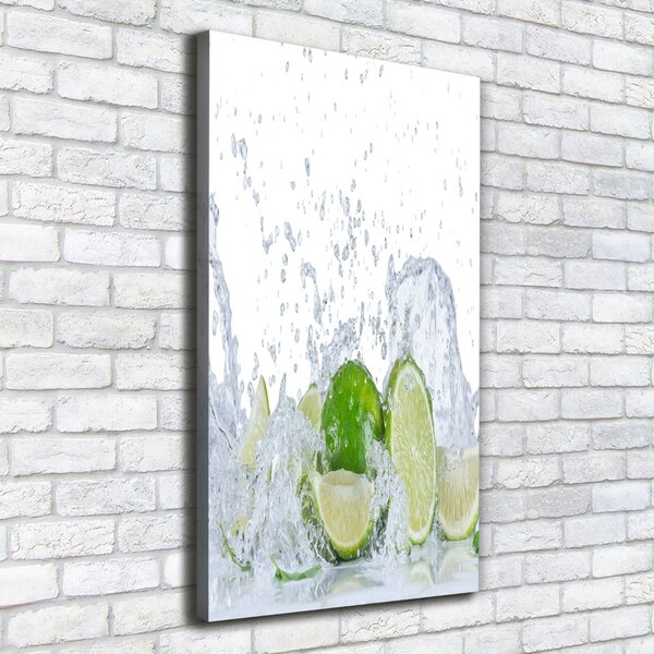 Vertikální Moderní obraz canvas na rámu Limetky ocv-88385364