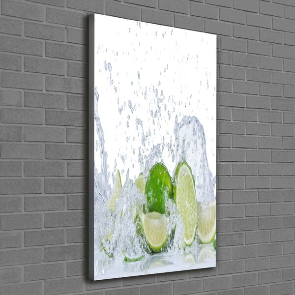 Vertikální Moderní obraz canvas na rámu Limetky ocv-88385364