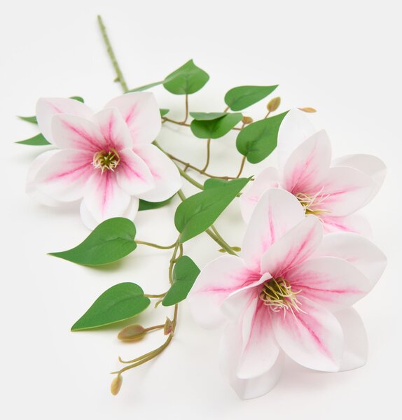 Sinsay - Decorative plant – clematis - pastelová růžová