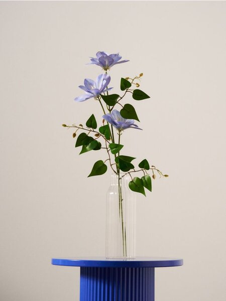 Sinsay - Decorative plant – clematis - modrá