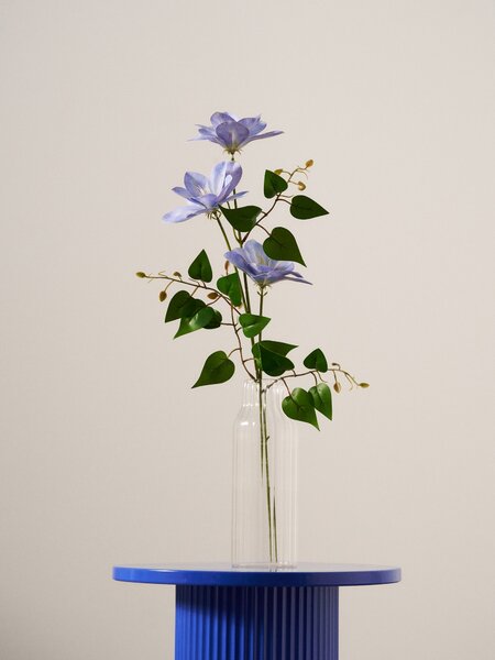 Sinsay - Decorative plant – clematis - modrá