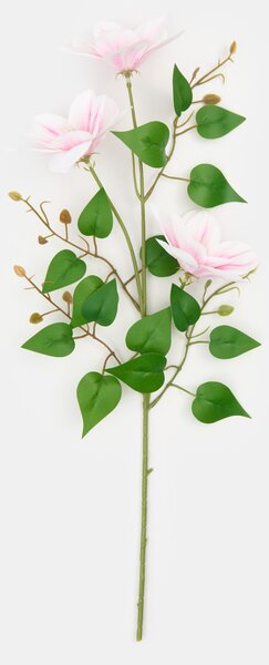Sinsay - Decorative plant – clematis - pastelová růžová