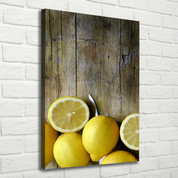 Vertikální Moderní obraz canvas na rámu Citrony ocv-88521131