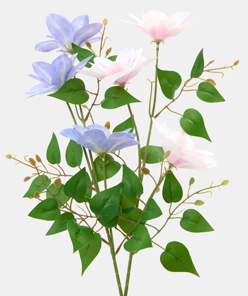 Sinsay - Decorative plant – clematis - modrá