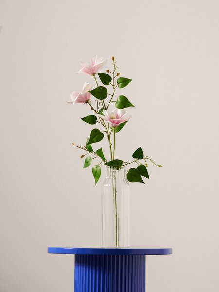 Sinsay - Decorative plant – clematis - pastelová růžová