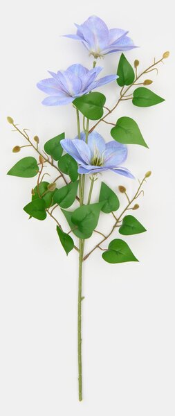 Sinsay - Decorative plant – clematis - modrá