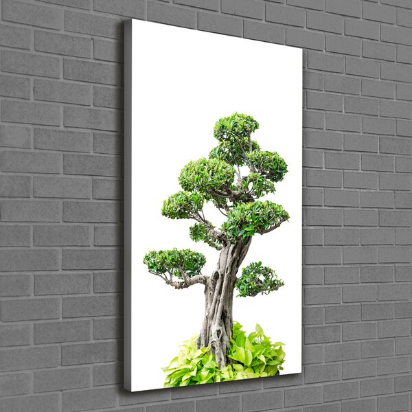 Vertikální Foto obraz na plátně Bonsai ocv-88907159
