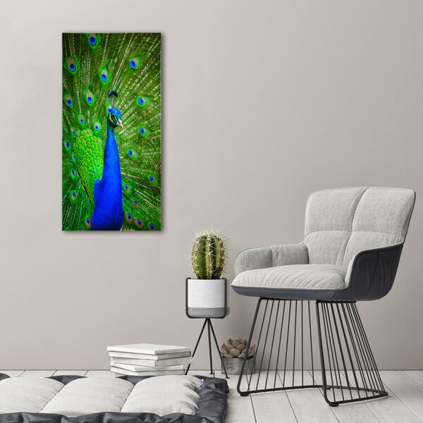 Vertikální Foto obraz canvas Páv ocv-88874077