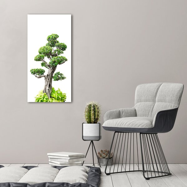 Vertikální Foto obraz na plátně Bonsai ocv-88907159