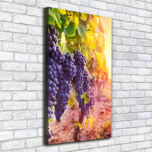 Vertikální Moderní obraz canvas na rámu Vinice ocv-89292664