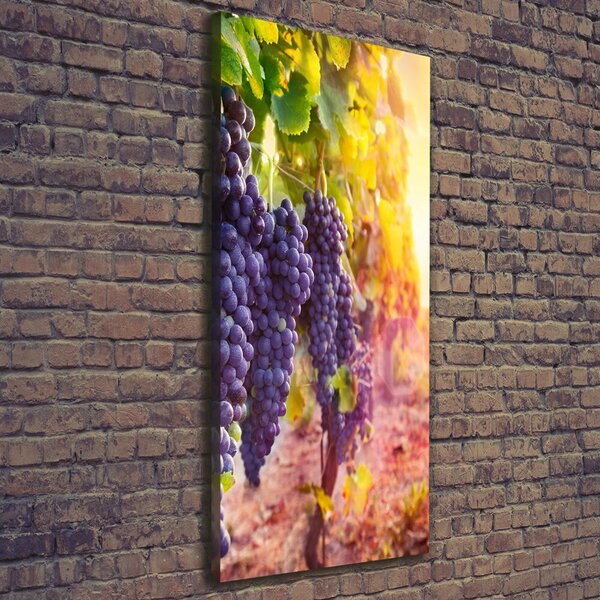 Vertikální Moderní obraz canvas na rámu Vinice ocv-89292664