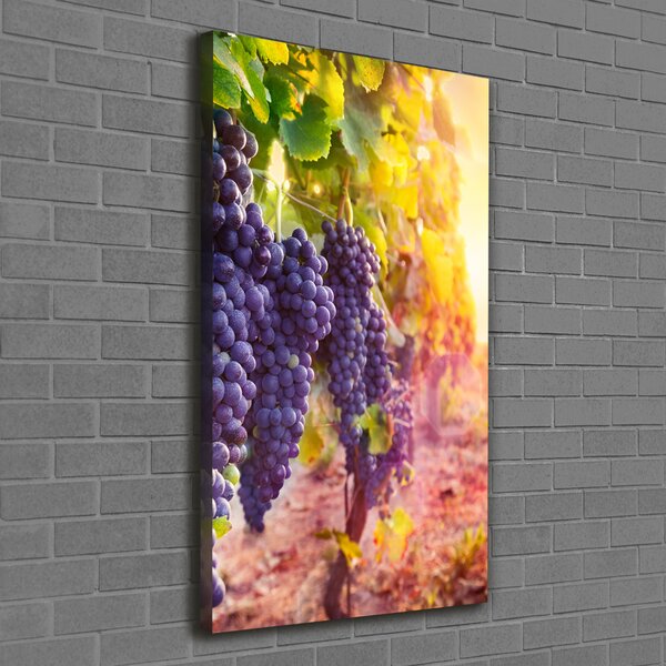 Vertikální Moderní obraz canvas na rámu Vinice ocv-89292664
