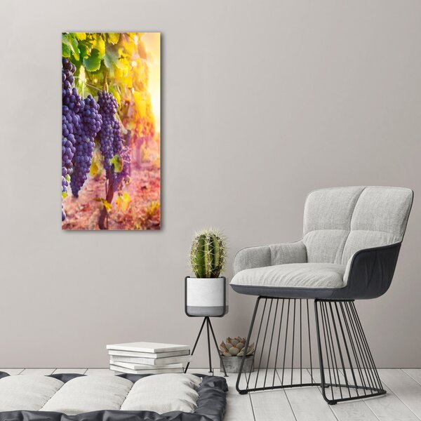 Vertikální Moderní obraz canvas na rámu Vinice ocv-89292664