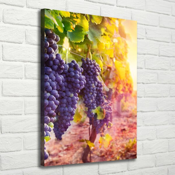 Vertikální Moderní obraz canvas na rámu Vinice ocv-89292664