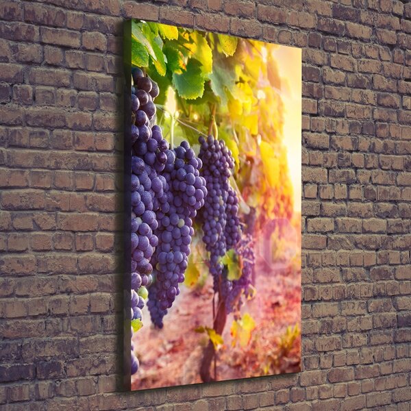 Vertikální Moderní obraz canvas na rámu Vinice ocv-89292664