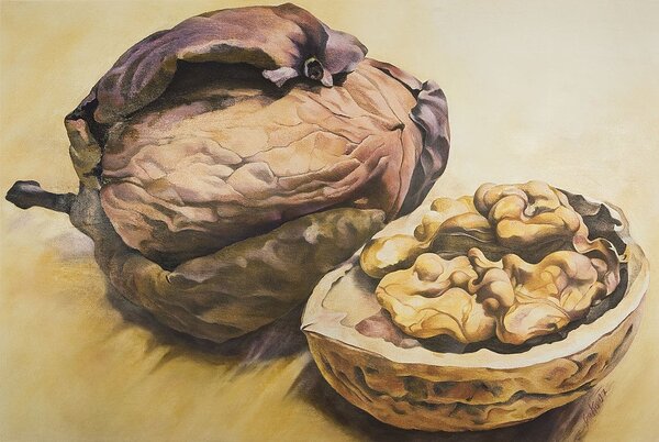 Ručně malovaný obraz od Blanka Brožová - "Ořechy-doteky", rozměr: 140 x 97 cm