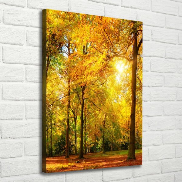 Vertikální Foto obraz canvas Les na podzim ocv-89529230