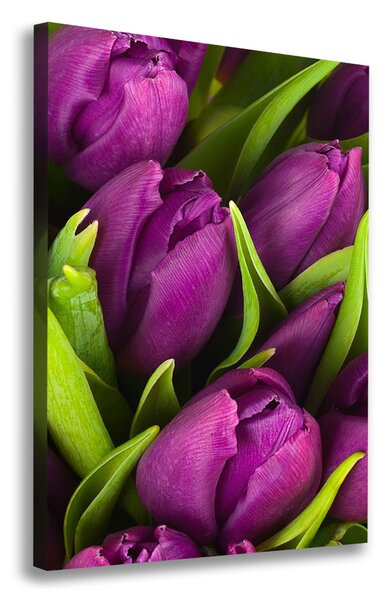 Vertikální Foto obraz na plátně Fialové tulipány ocv-89975331
