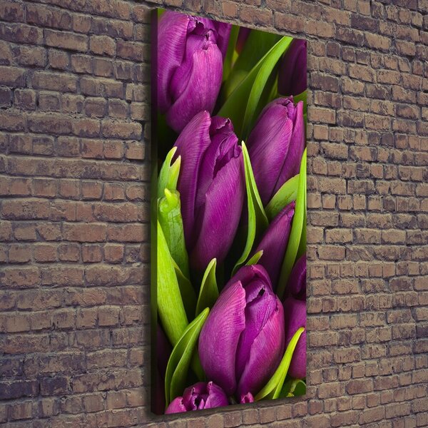Vertikální Foto obraz na plátně Fialové tulipány ocv-89975331