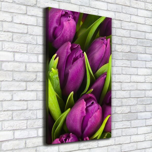 Vertikální Foto obraz na plátně Fialové tulipány ocv-89975331