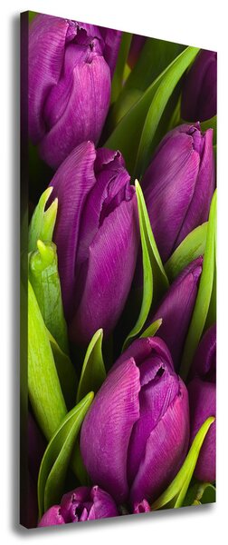 Vertikální Foto obraz na plátně Fialové tulipány ocv-89975331
