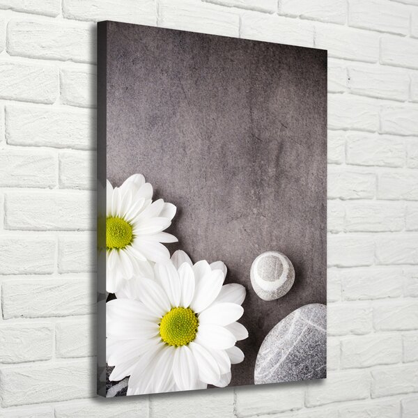 Vertikální Moderní obraz canvas na rámu Gerbera ocv-89978317