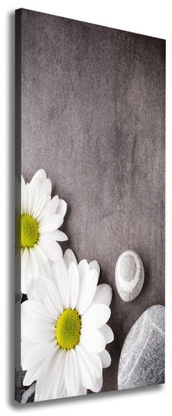 Vertikální Moderní obraz canvas na rámu Gerbera ocv-89978317