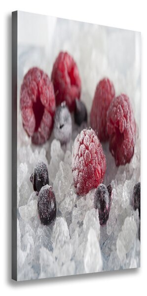 Vertikální Foto obraz na plátně Mražené ovoce ocv-90017236