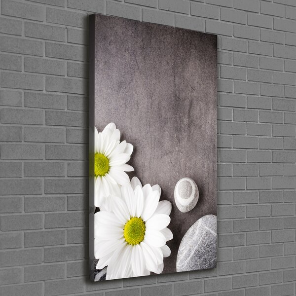 Vertikální Moderní obraz canvas na rámu Gerbera ocv-89978317