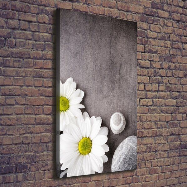 Vertikální Moderní obraz canvas na rámu Gerbera ocv-89978317