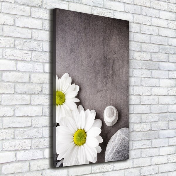 Vertikální Moderní obraz canvas na rámu Gerbera ocv-89978317