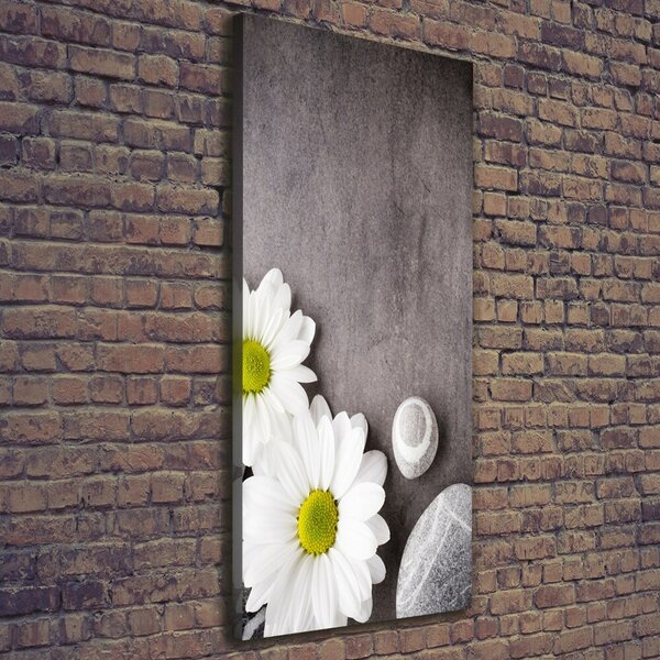 Vertikální Moderní obraz canvas na rámu Gerbera ocv-89978317