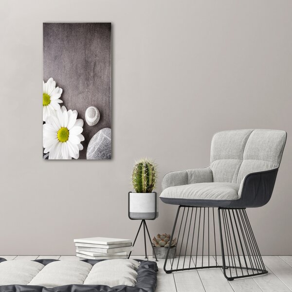 Vertikální Moderní obraz canvas na rámu Gerbera ocv-89978317