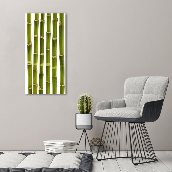 Vertikální Moderní fotoobraz canvas na rámu Bambus ocv-90591084
