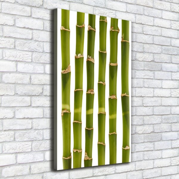 Vertikální Moderní fotoobraz canvas na rámu Bambus ocv-90591084