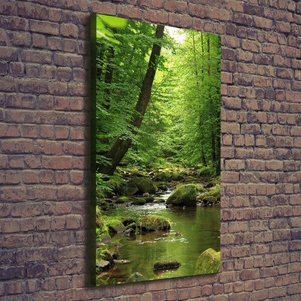 Vertikální Foto obraz canvas Řeka v lese ocv-90680304
