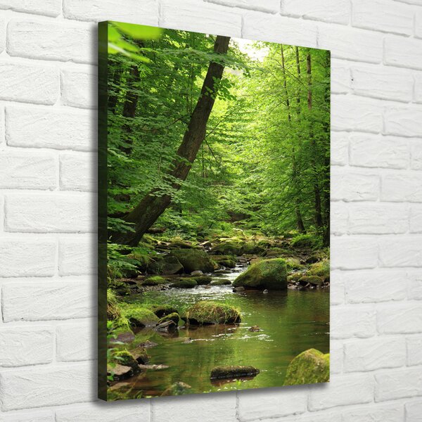 Vertikální Foto obraz canvas Řeka v lese ocv-90680304