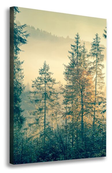 Vertikální Foto obraz na plátně Mlha nad lesem ocv-90691876