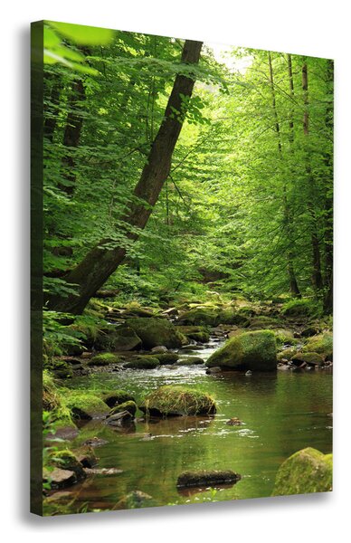 Vertikální Foto obraz canvas Řeka v lese ocv-90680304