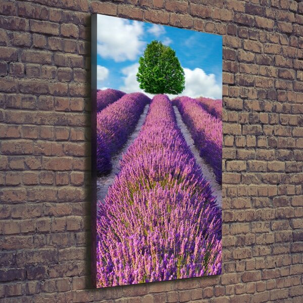 Vertikální Foto obraz canvas Pole levandule ocv-90850867
