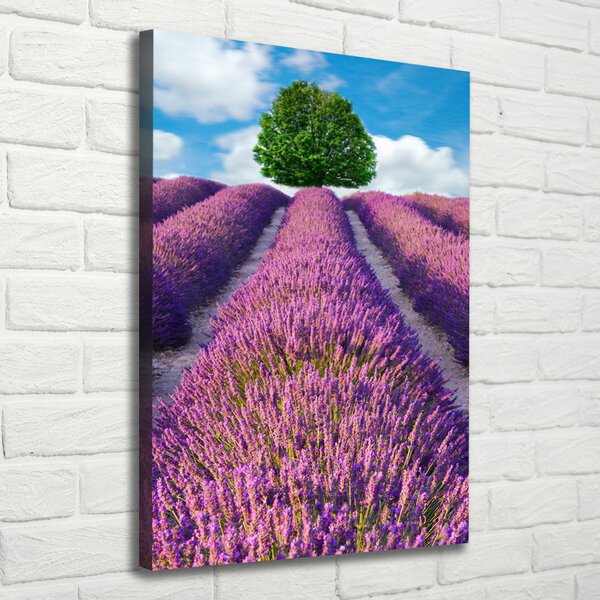 Vertikální Foto obraz canvas Pole levandule ocv-90850867