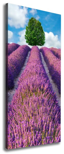Vertikální Foto obraz canvas Pole levandule ocv-90850867