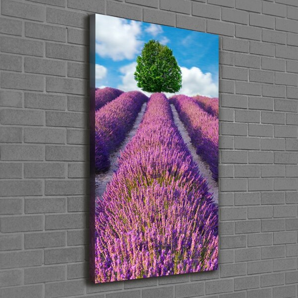 Vertikální Foto obraz canvas Pole levandule ocv-90850867