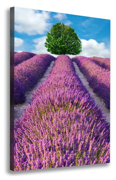 Vertikální Foto obraz canvas Pole levandule ocv-90850867