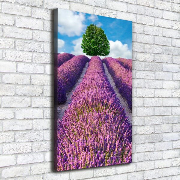 Vertikální Foto obraz canvas Pole levandule ocv-90850867